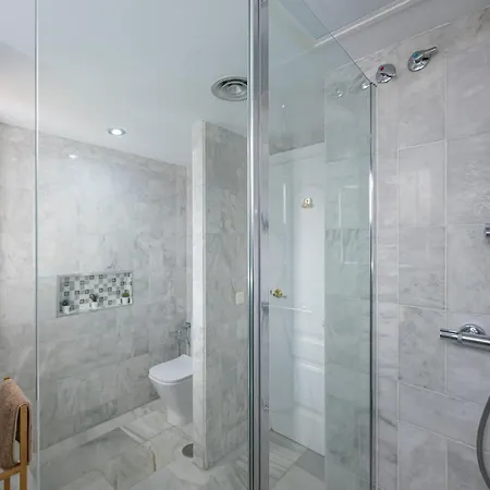 Atico Naranjos Marbella