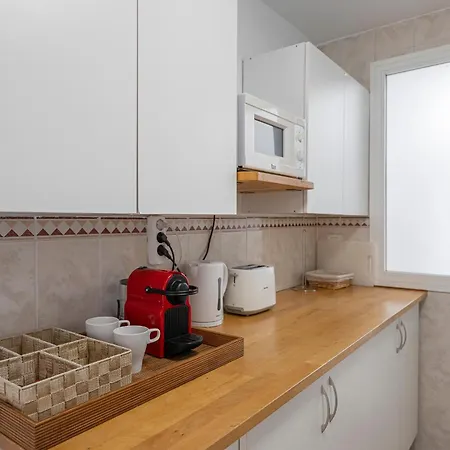 Apartamento Atico Naranjos Marbella